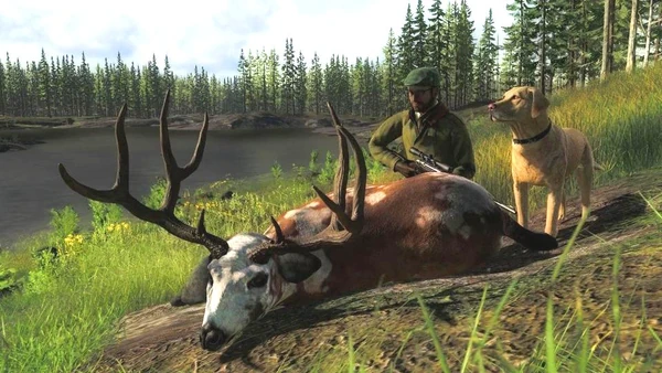 IzDaPat piebald blacktail 194