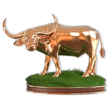 Water Buffalo