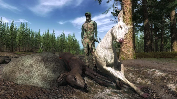 Didier Chouffe rares 1