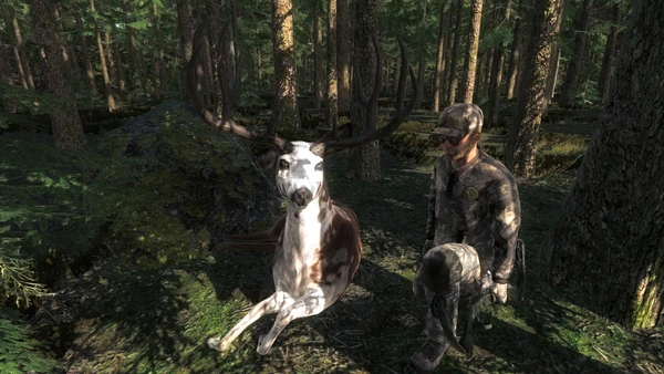 DYEUZ piebald blacktail 194