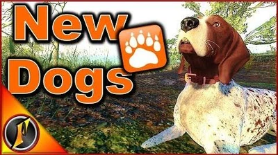 NEW_DOGS_German_Short-Haired_Pointers_theHunter_Classic