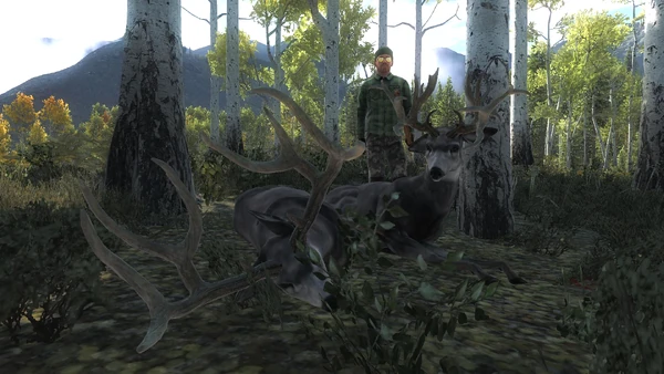 OldMM1966 piebald two mue