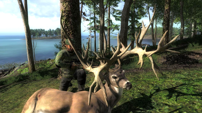 Trophy nt whitetail deer