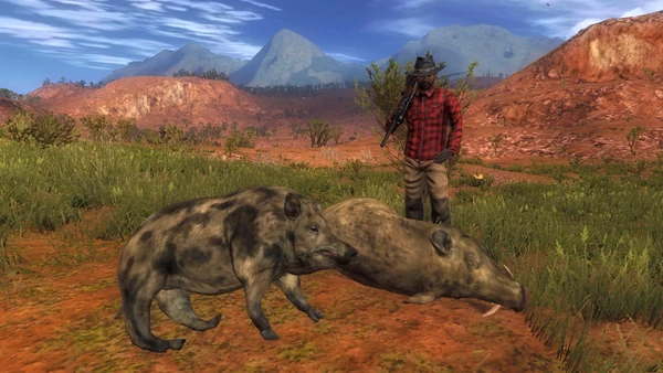 Nathan107 HB rares 2