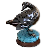 American Black Duck