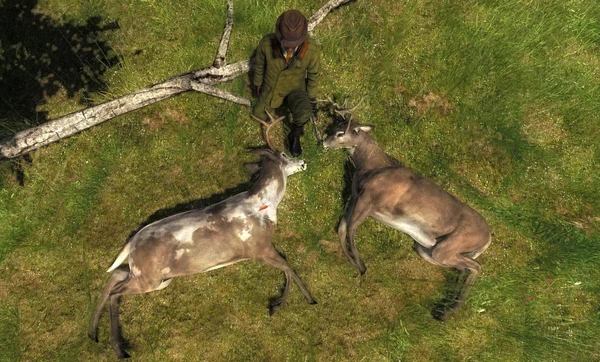 Hoocairs two rare whitetails