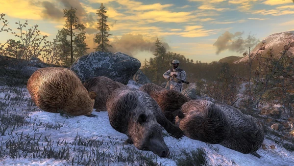 Izdapat two silver tipped brown bear