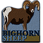 Bighorn sheep badge