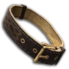 Coonhound founder collar