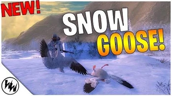 SNOW_GOOSE!!_theHunter_Classic