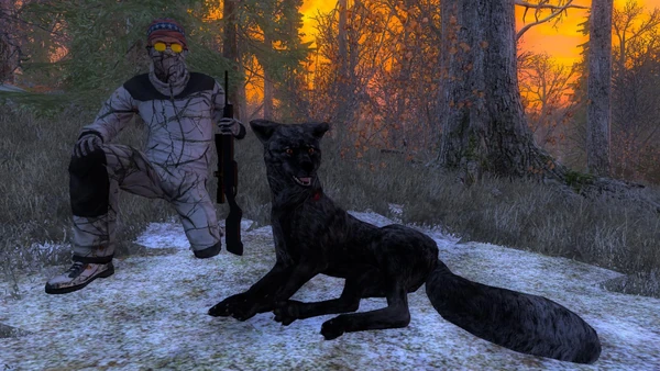 Ardillamente piebald mule 212