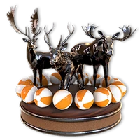 Summer fiesta 2022 noodle hematite