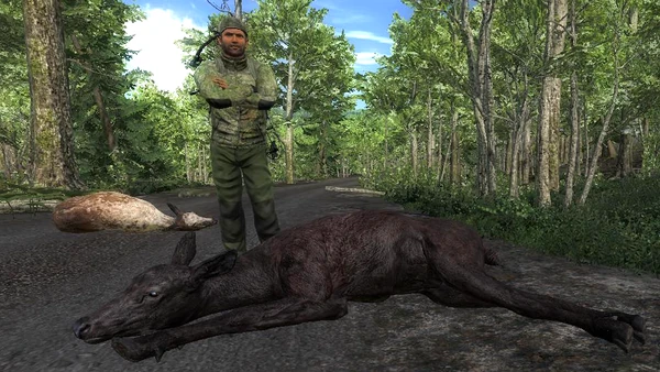 Noctua two rare elk cows