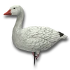 Decoy snow goose sentry