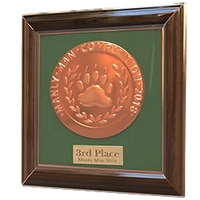 Manly man 2018 bronze