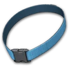 Canis familiaris collar bluish