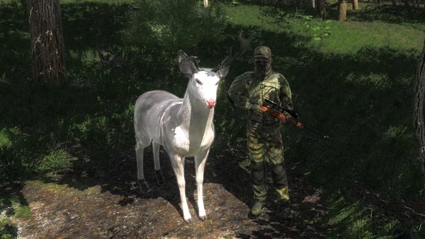 Grizzlyattack10 rares 1