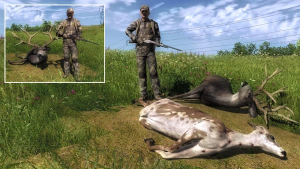 Thewindow rare muleys