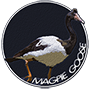 Magpie goose badge.png
