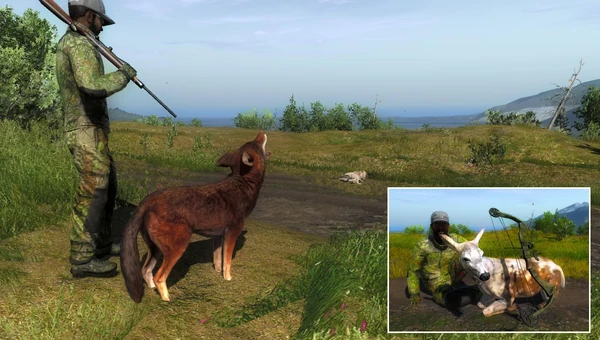 Zeksi rares 1