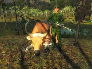 Banteng, TheHunter: Call of the Wild Wiki