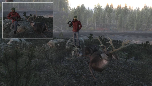 CH4R4D4 two nt muleys