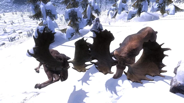 Semhunting two big moose