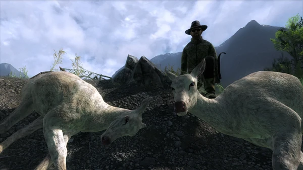 Flinter two albino red deer