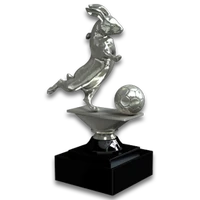 Football Eu Silver Trophy