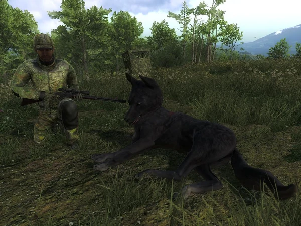 Destuy 57 melanistic coyote