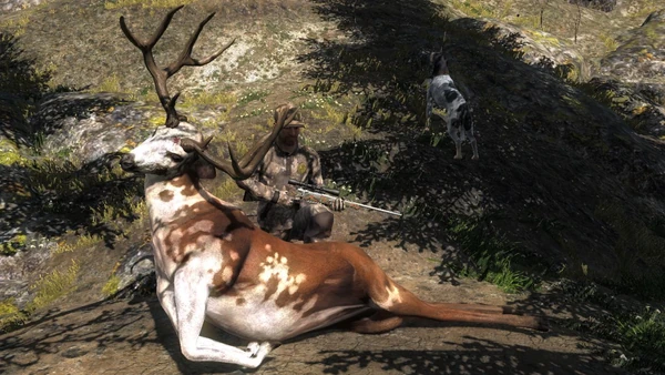 WelshTrigger piebald bt 194