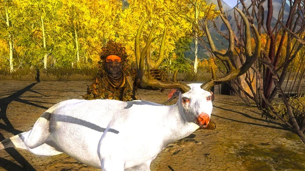 ZachRoDah rares 1