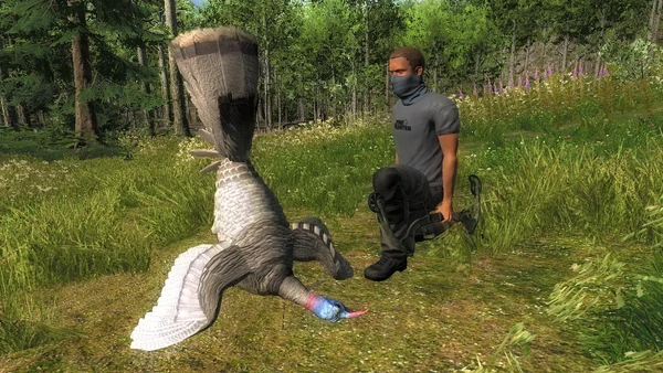 TXfrogboy rares 1