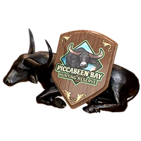 Field trophy pbb hematite