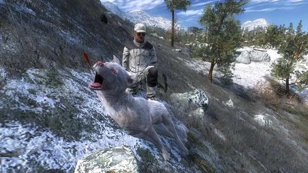 Jlferrell 33 albino red fox