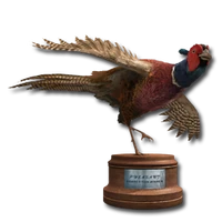 Pheasant original silver