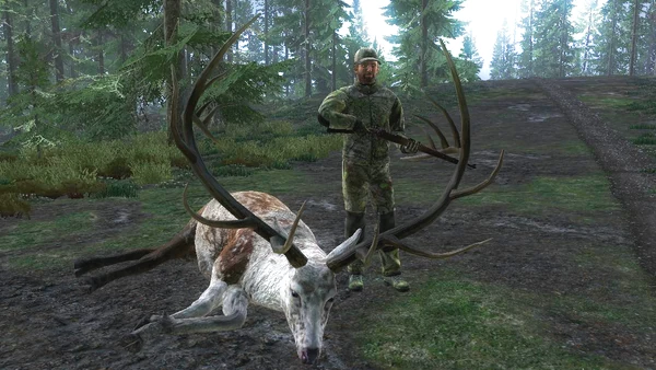 R1Maddin piebald elk 421