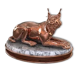 Eurasian Lynx