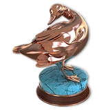 American Black Duck