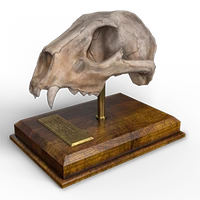 Bobcat mission trophy