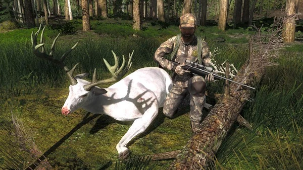 Thundermarble albino wt 181