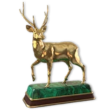 Rusa Deer