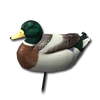 Decoy mallard male 256