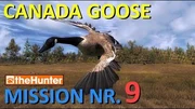 TheHunter_Canada_Goose_Mission_9