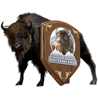 Field trophy wrr hematite