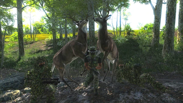 Hondjie rares 1