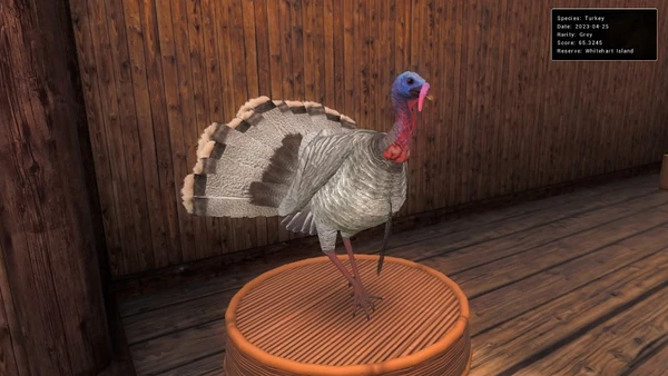 Trattskaft5011 rares 1