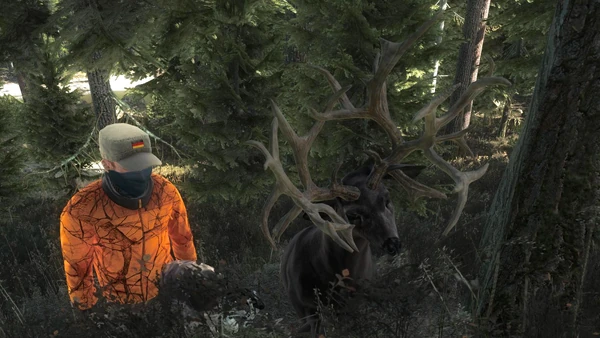 Railtrucksim nt melanistic mule