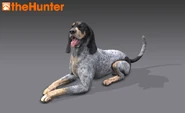 Scenthound render