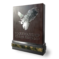 Summerfiesta marksmanship silver